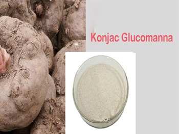 What Is Konjac Powder Used For？